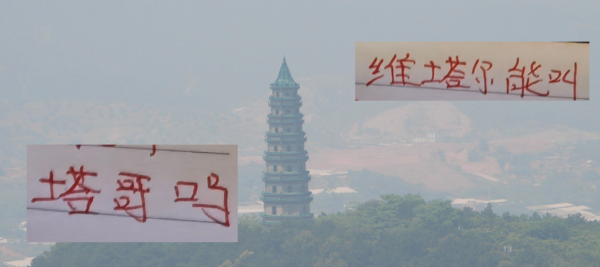 定了！客挑成齐蓉城有CCTV直播 海港10号还能叫塔哥吗